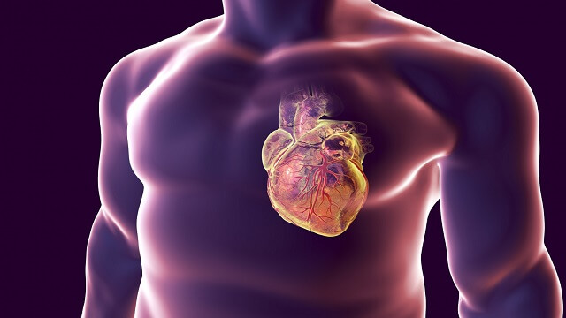 تاثیر اسید اسکوربیک در حمله قلبی